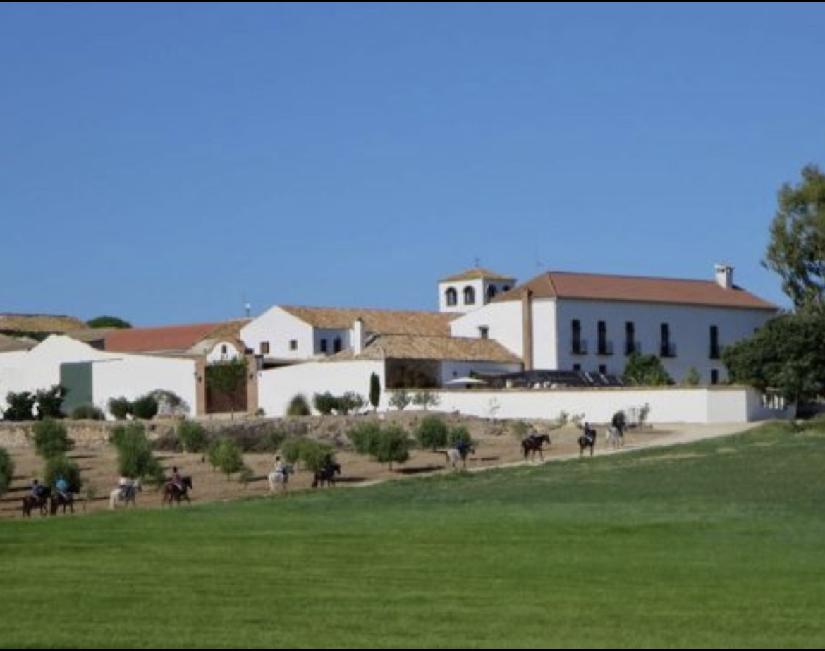 Countryhome for sale in Costa del Sol 1