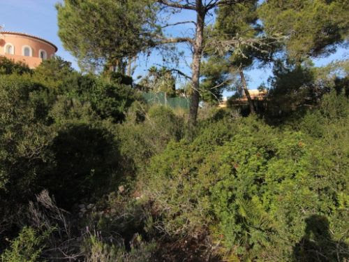 Plot for sale in Jávea and surroundings 3