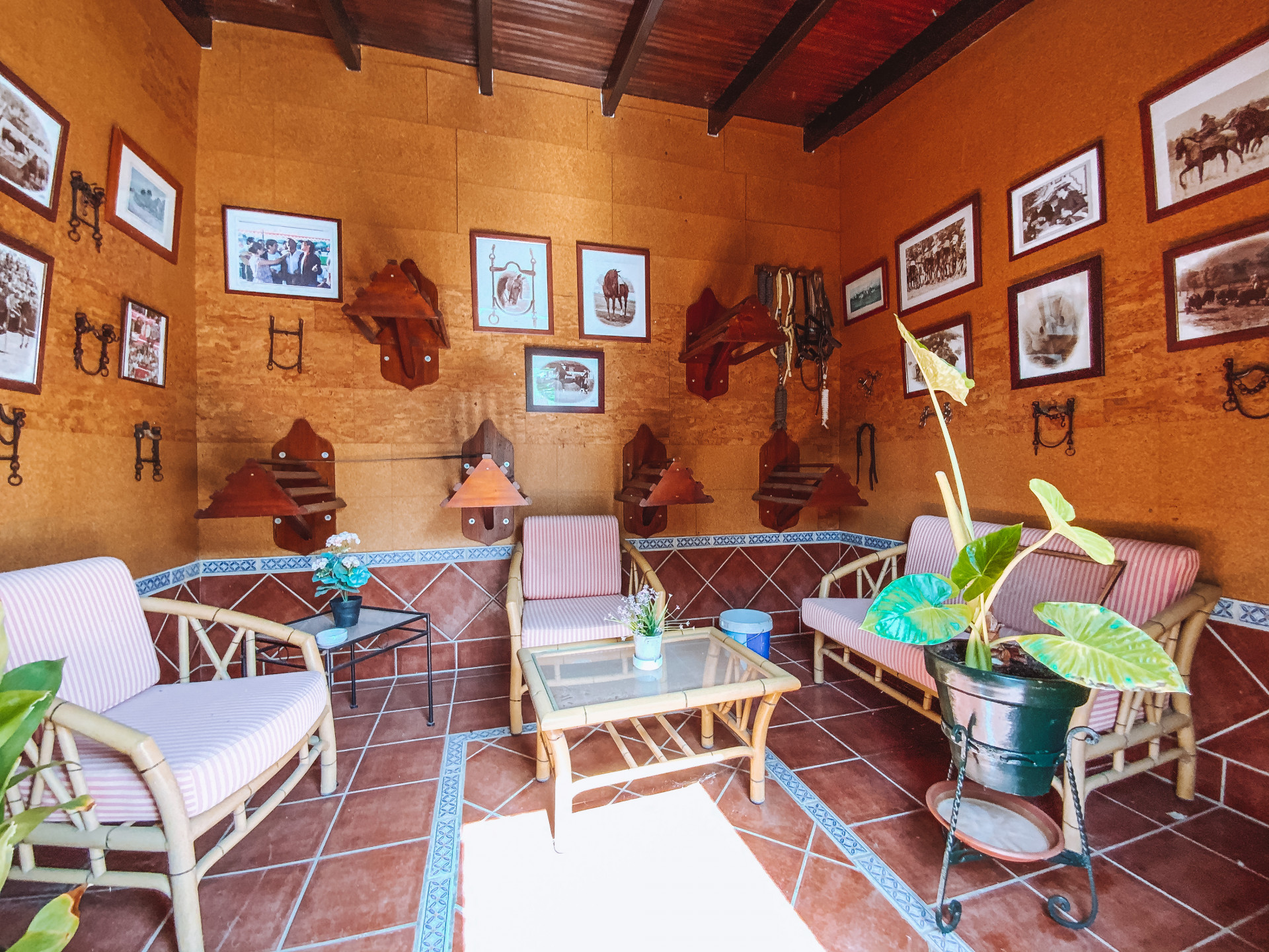 Casas de Campo en venta en Fuengirola 14