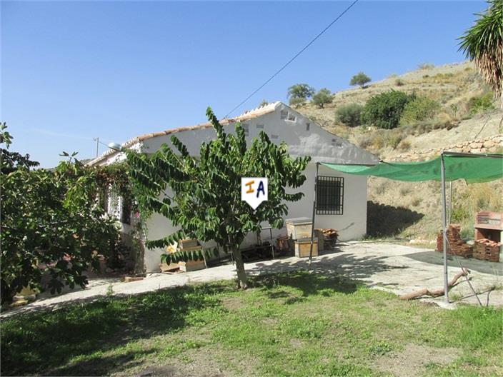 Property Image 421418-costa-del-sol-villa-3-1