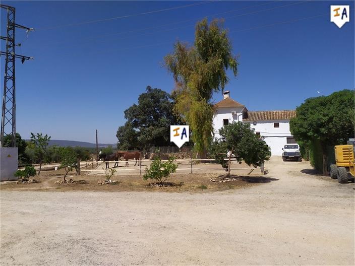 Countryhome for sale in Costa del Sol 15