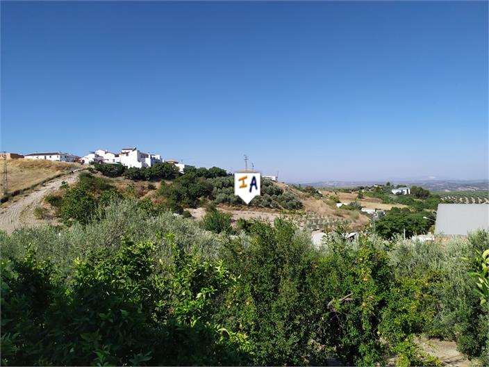 Villa for sale in Towns of the province of Seville 3