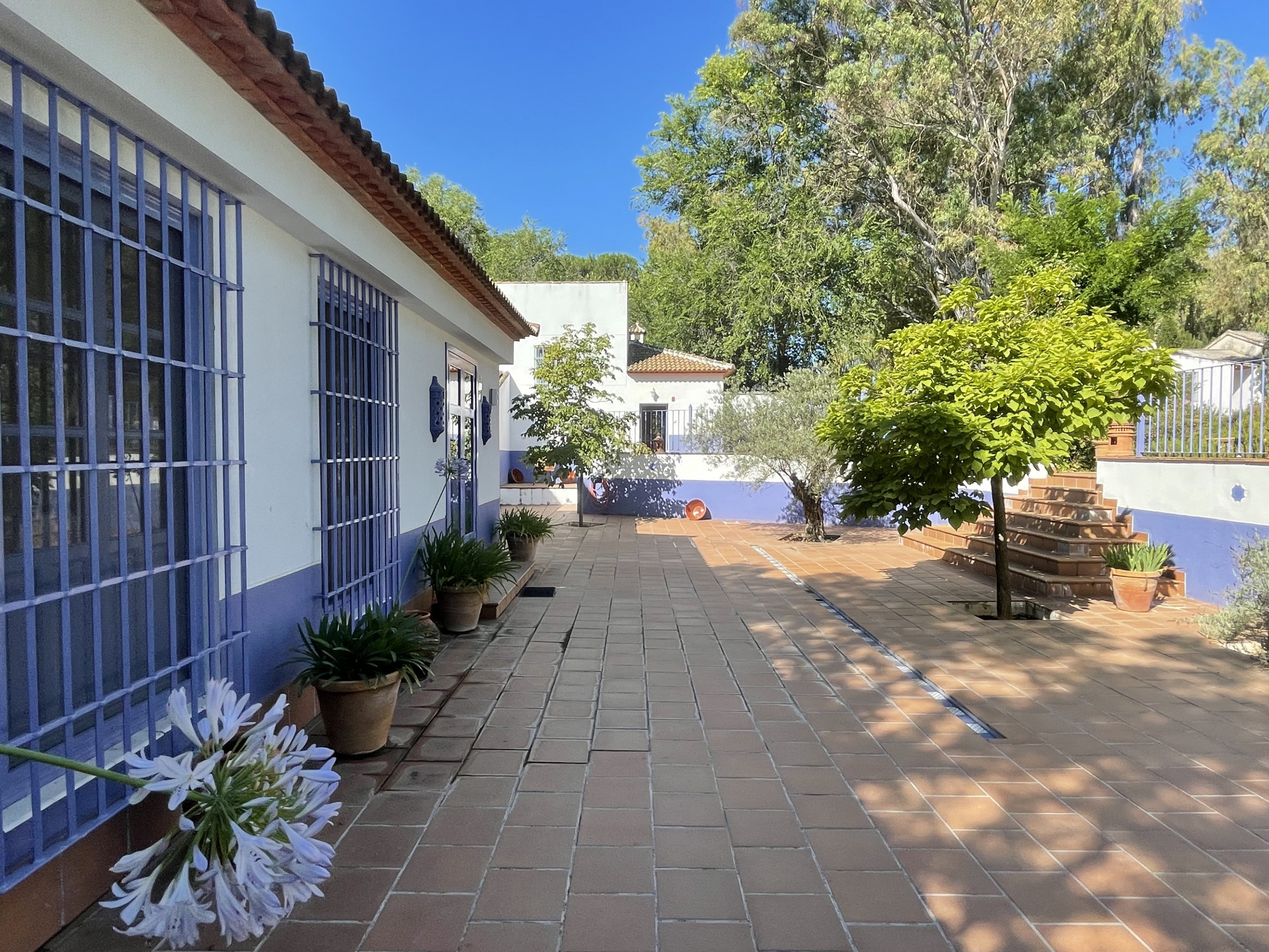 Landhaus zum Verkauf in Costa del Sol 15