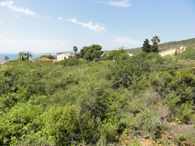 Размер собственного участка для продажи в Campo de Gibraltar 6