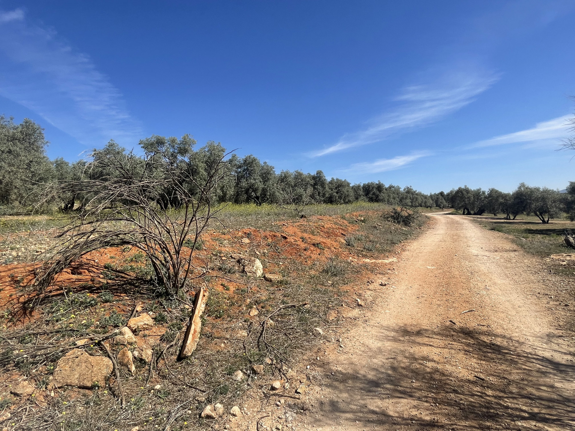 Plot en venta en Málaga 6