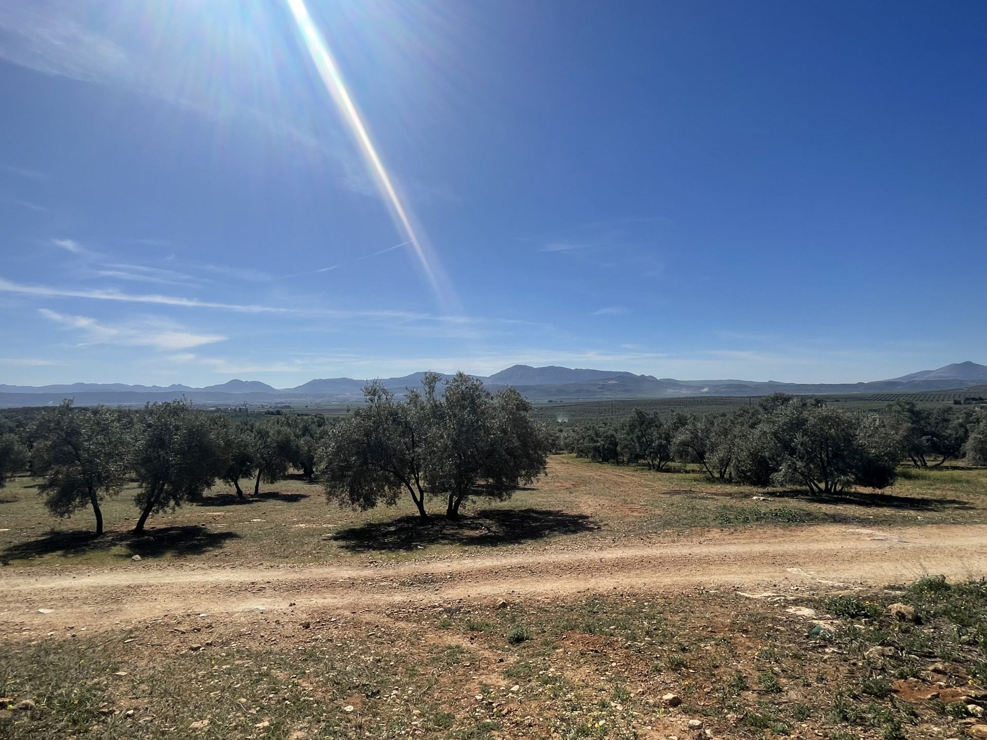 Tomt till salu i Málaga 7