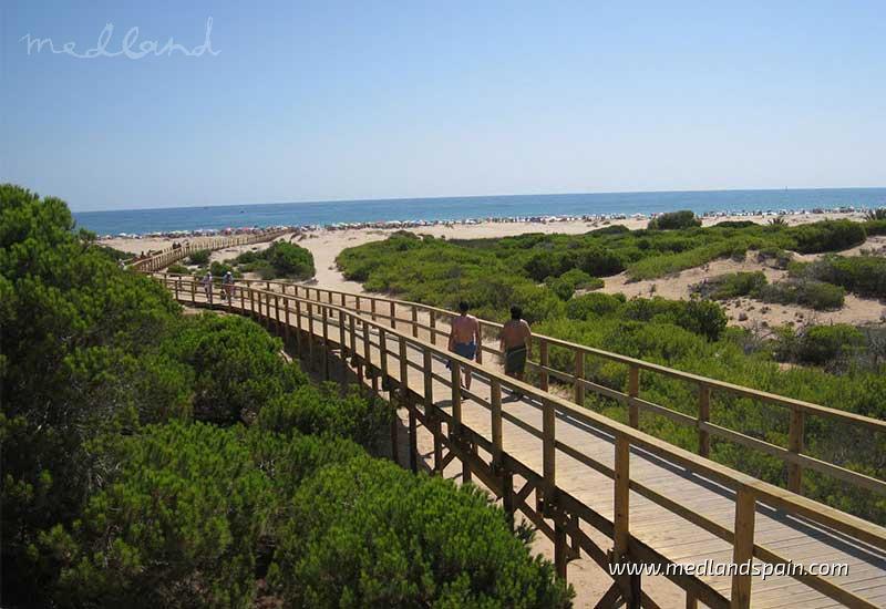 Apartment for sale in Elche 15