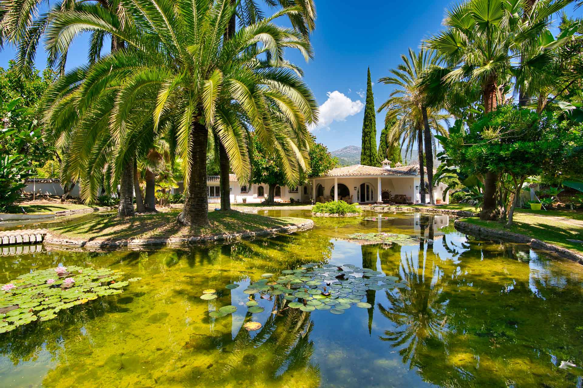 Villa for sale in Marbella - Golden Mile and Nagüeles 26