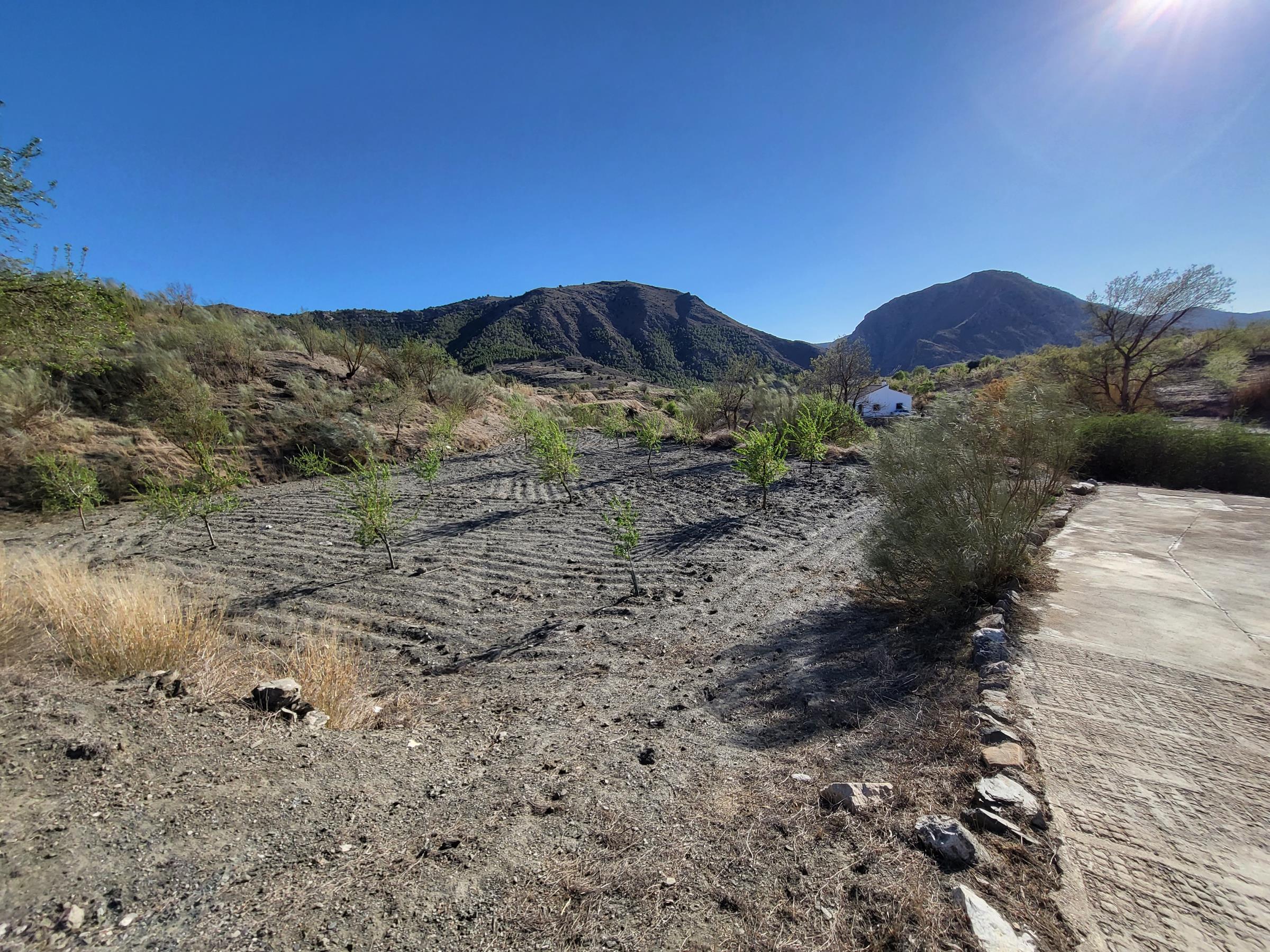 Haus zum Verkauf in Almería and surroundings 7