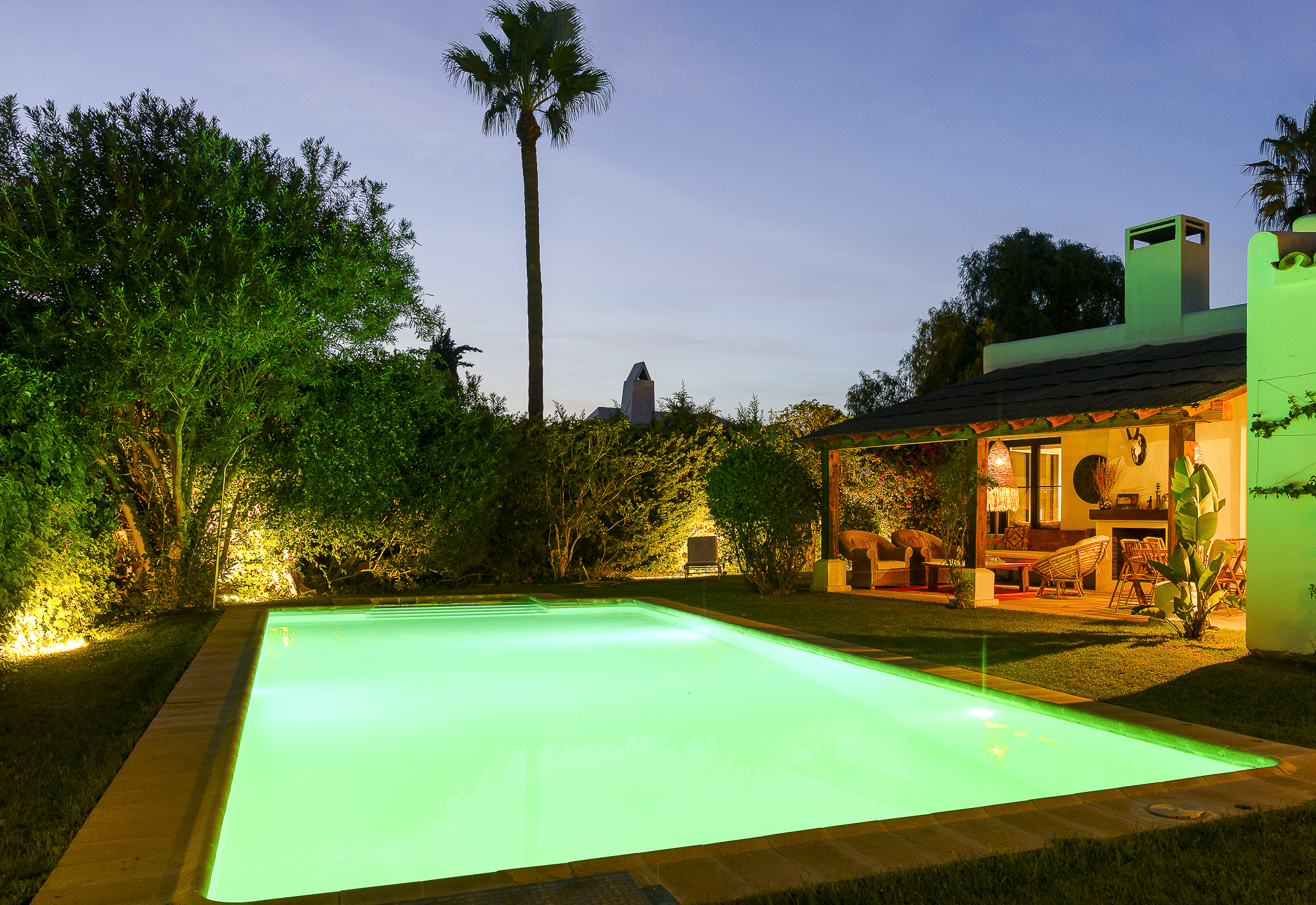 Villa à vendre à Marbella - San Pedro and Guadalmina 60
