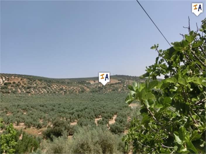 Countryhome for sale in Guardamar and surroundings 12