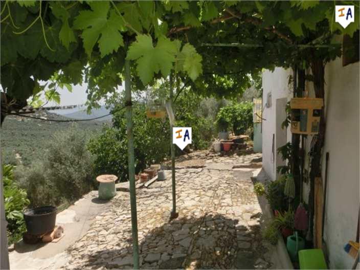 Countryhome for sale in Guardamar and surroundings 3