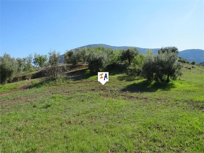 Plot for sale in Guardamar and surroundings 1