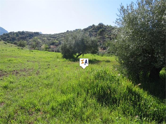 Plot for sale in Guardamar and surroundings 3