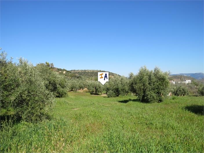 Plot for sale in Guardamar and surroundings 6