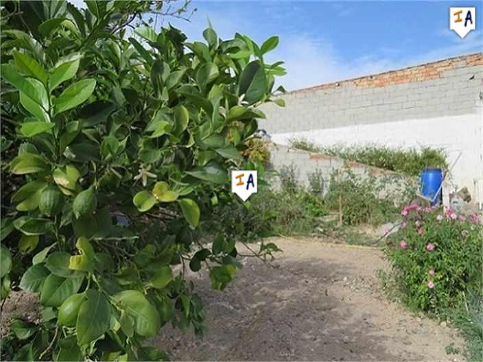 Plot for sale in Guardamar and surroundings 2
