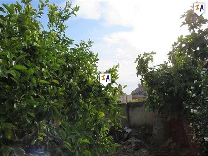 Plot for sale in Guardamar and surroundings 7