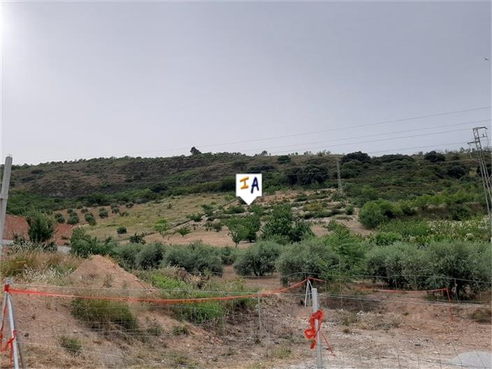 Plot en venta en Guardamar and surroundings 6