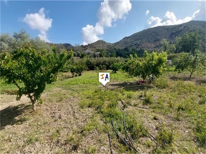 Countryhome for sale in Guardamar and surroundings 15