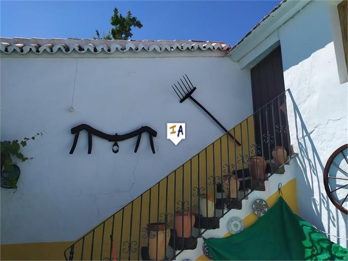 Загородный дом для продажи в Málaga 10