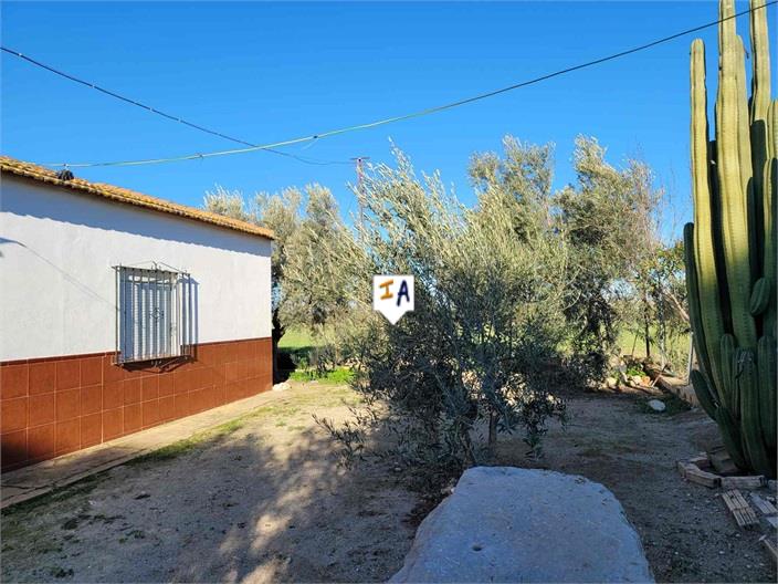 Countryhome for sale in Towns of the province of Seville 7