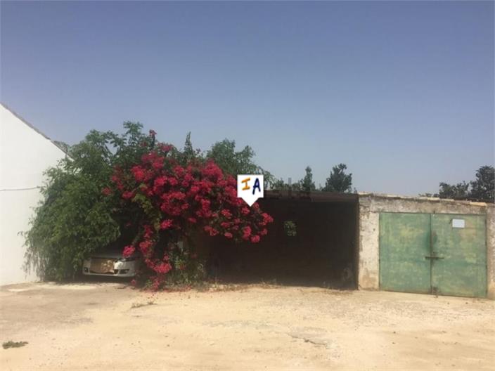 Countryhome for sale in Guardamar and surroundings 10