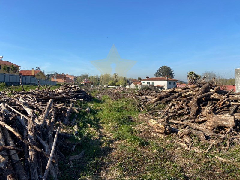 Plot à vendre à Aveiro District 7