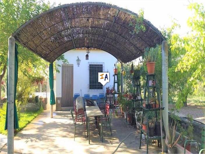 Villa for sale in Guardamar and surroundings 11