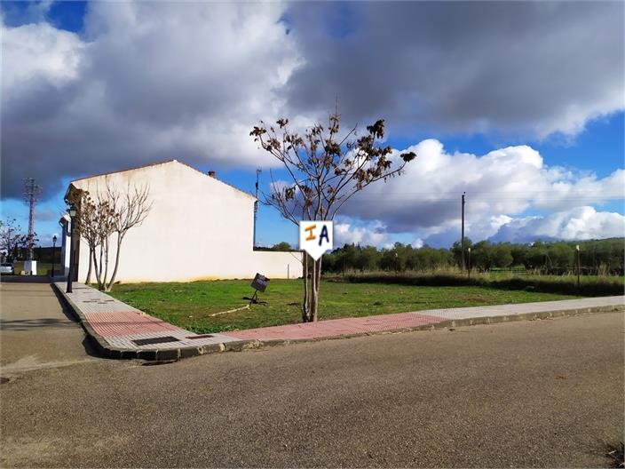 Размер собственного участка для продажи в Málaga 6