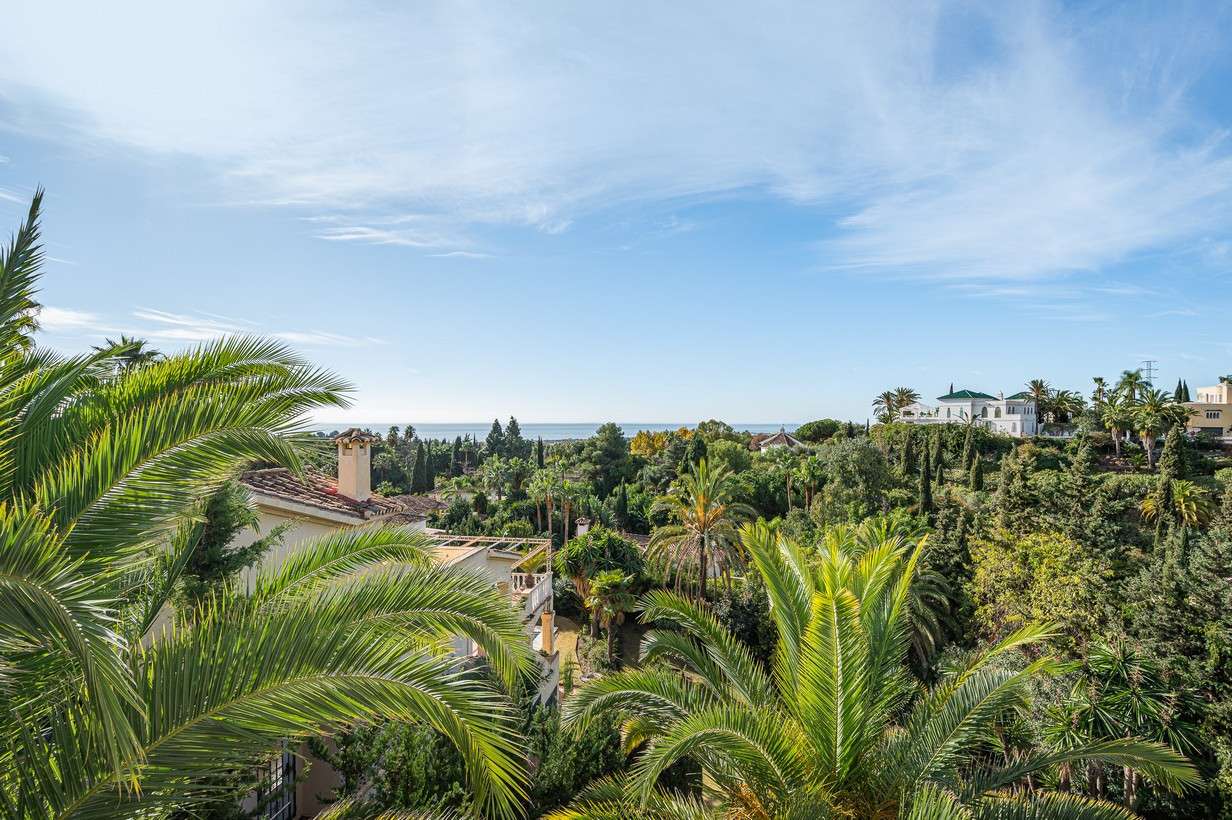 Villa à vendre à Marbella - Golden Mile and Nagüeles 24