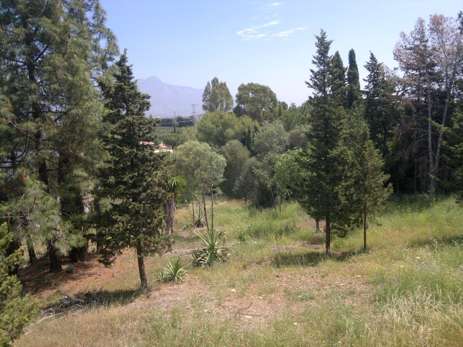 Countryhome for sale in Marbella - San Pedro and Guadalmina 1