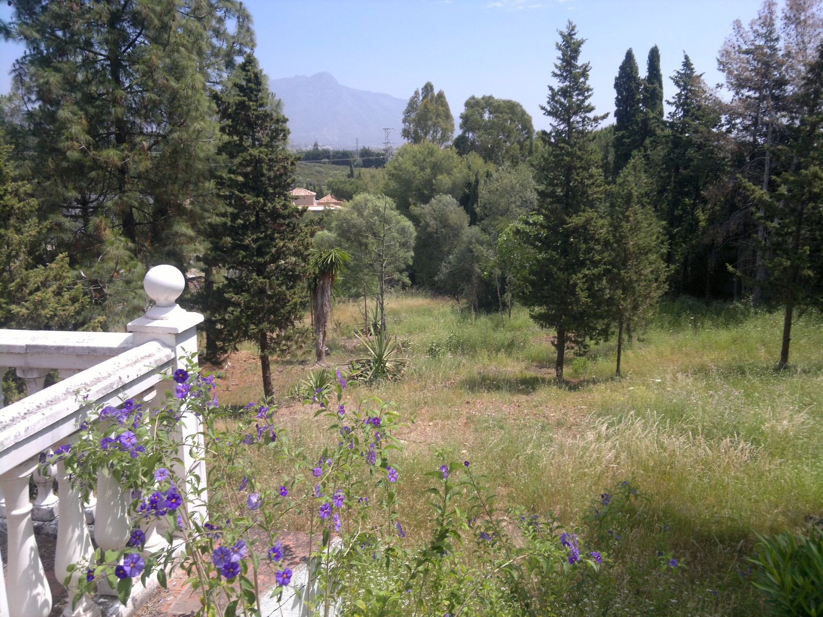 Countryhome for sale in Marbella - San Pedro and Guadalmina 2