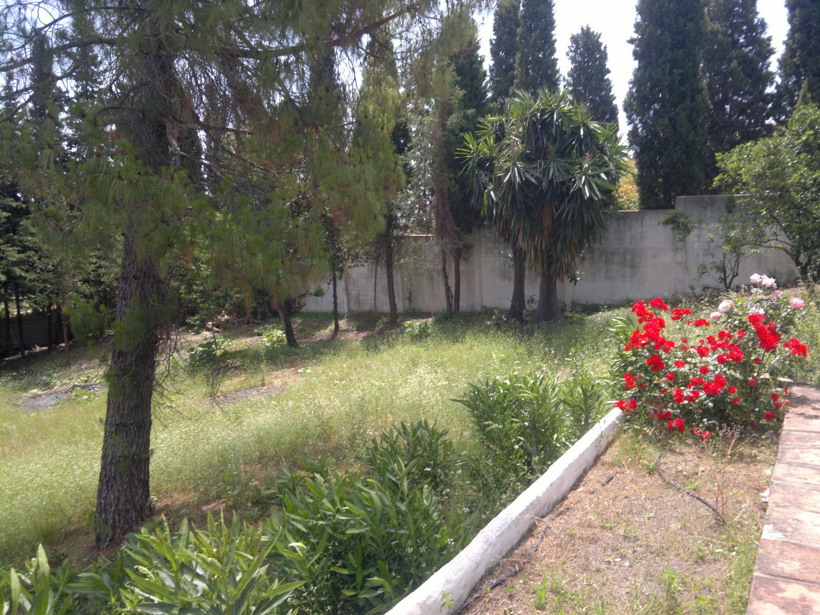 Countryhome for sale in Marbella - San Pedro and Guadalmina 11