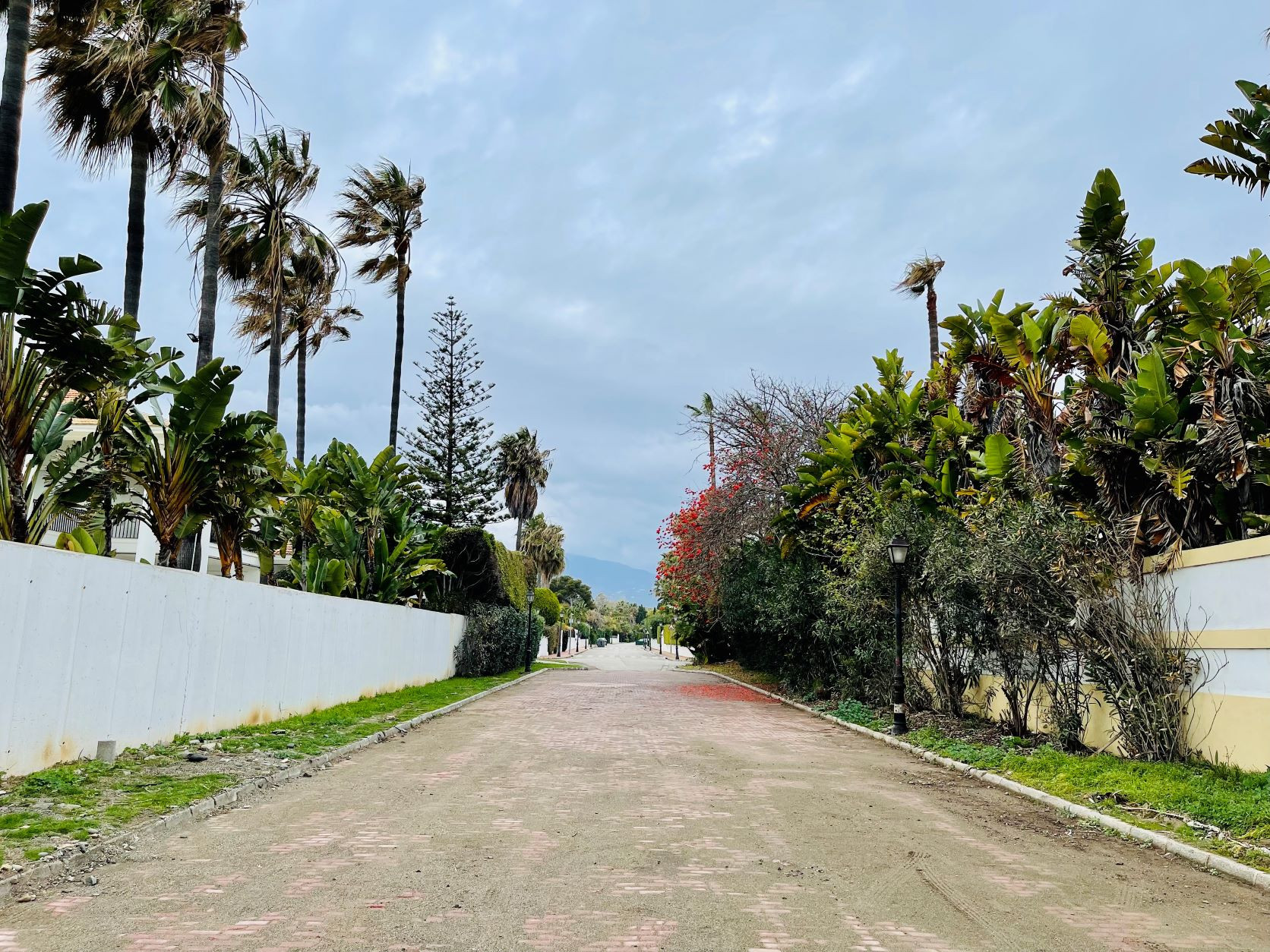 Размер собственного участка для продажи в Marbella - San Pedro and Guadalmina 5