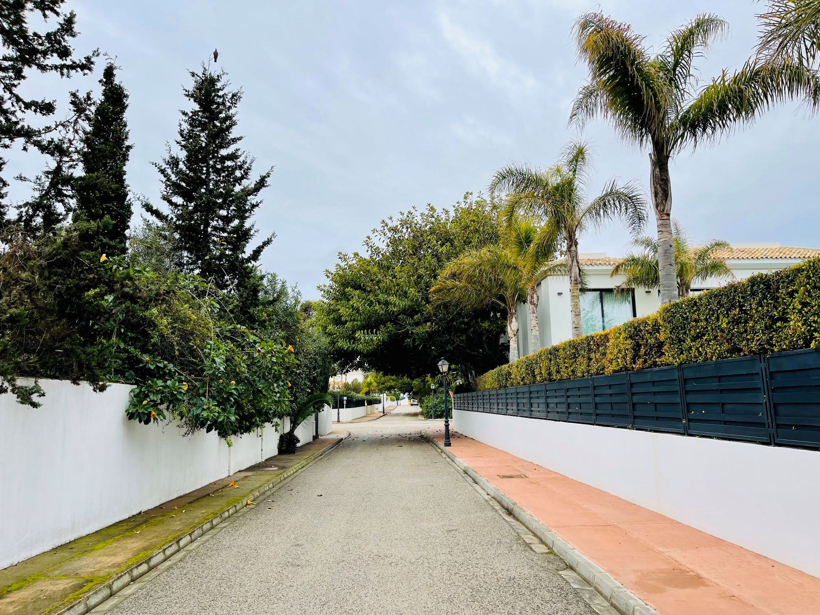 Размер собственного участка для продажи в Marbella - San Pedro and Guadalmina 6