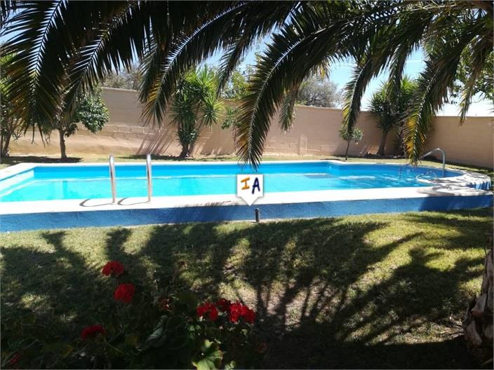 Villa for sale in Guardamar and surroundings 16