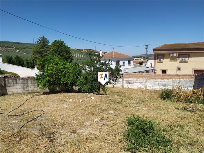 Haus zum Verkauf in Guardamar and surroundings 7