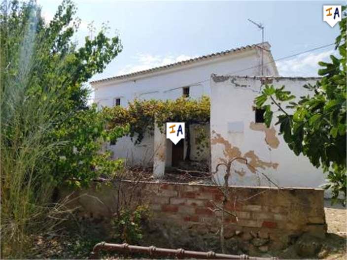 Countryhome for sale in Madrid City 1