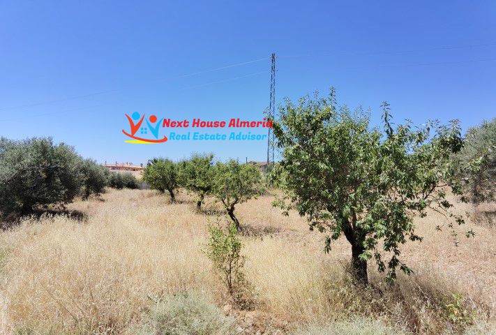 Plot for sale in Almería and surroundings 2