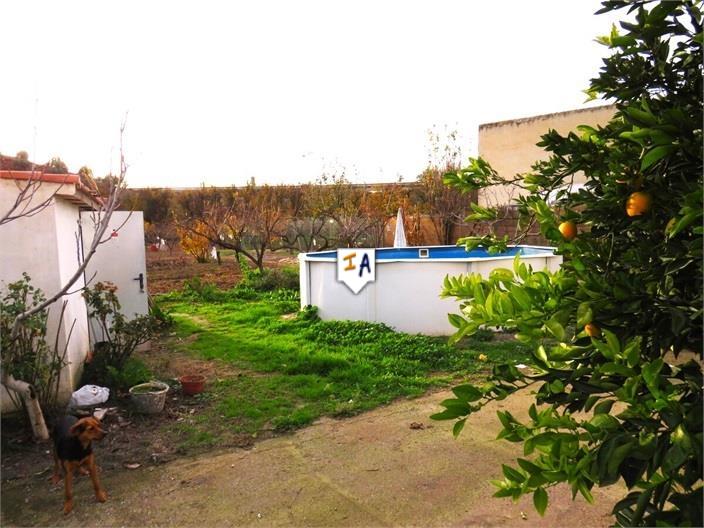 Villa à vendre à Guardamar and surroundings 16