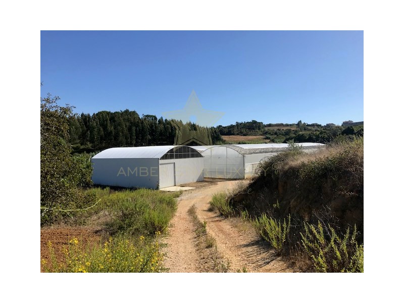 Plot for sale in Coimbra District 13