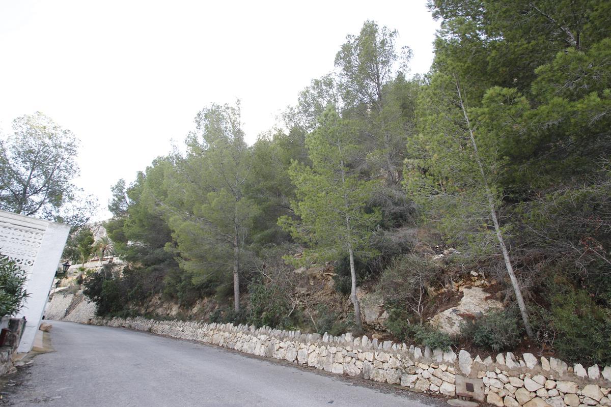 Plot for sale in Alicante 4