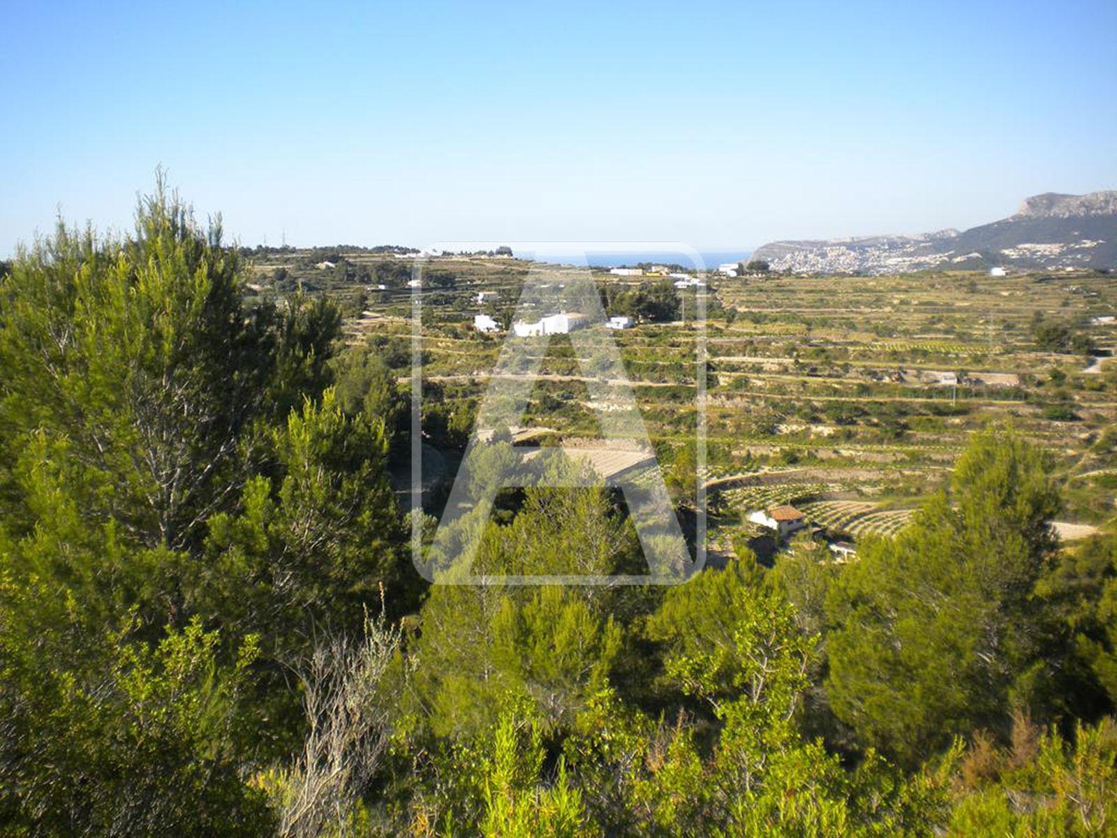 Размер собственного участка для продажи в Alicante 6