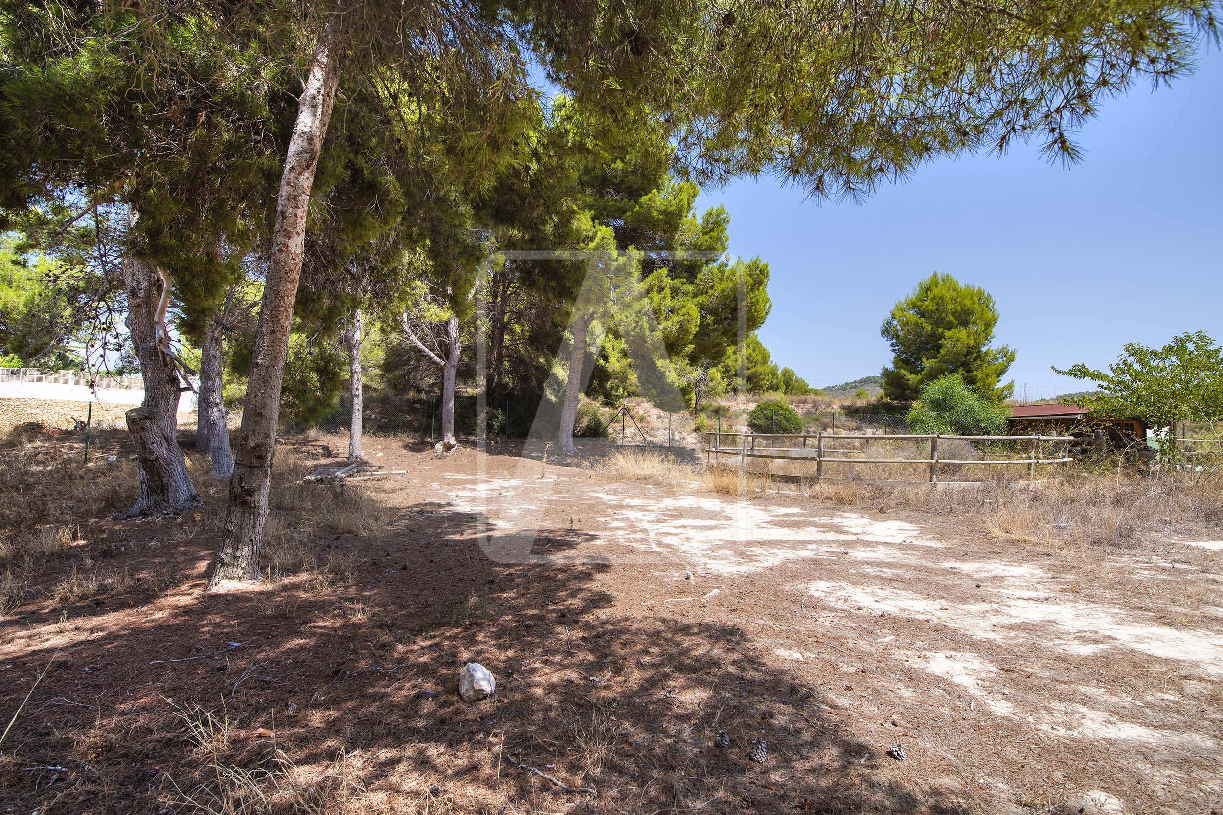 Plot à vendre à Alicante 2