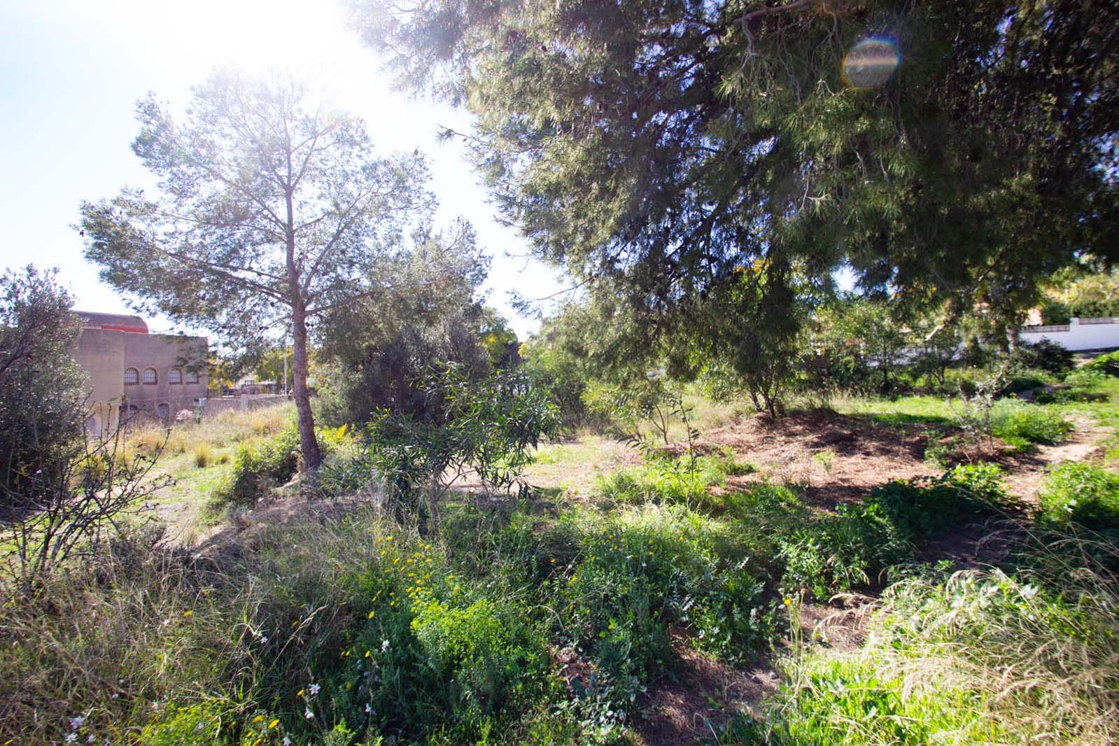 Plot for sale in Alicante 2