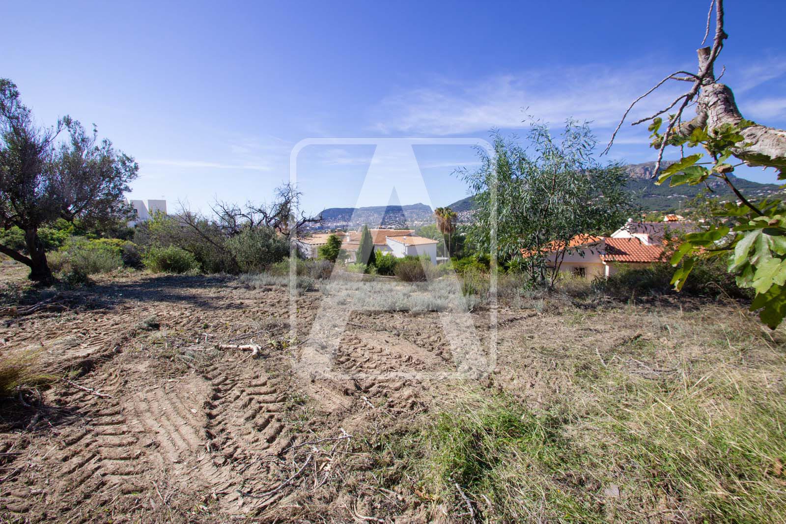 Plot à vendre à Alicante 3