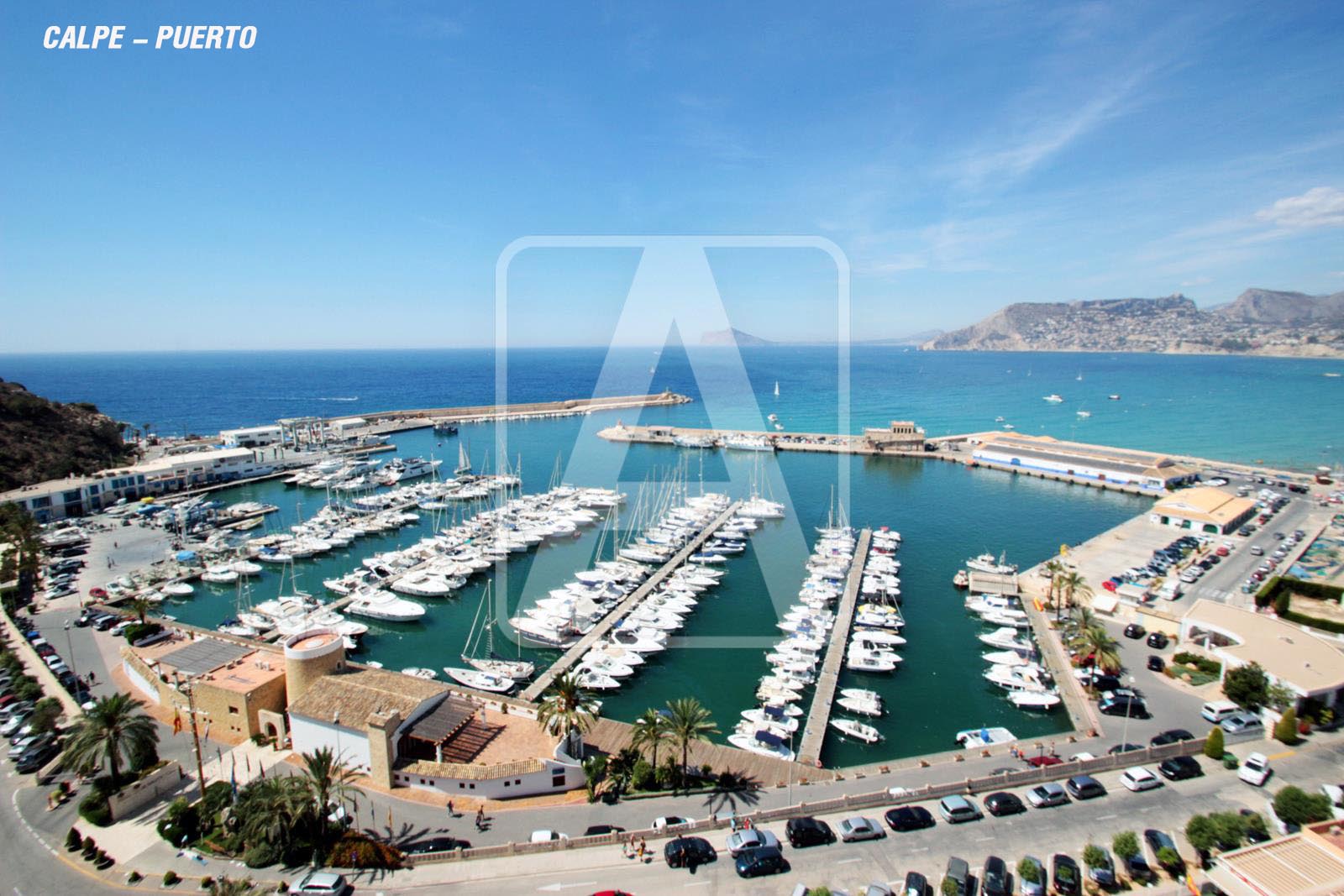 Размер собственного участка для продажи в Alicante 7