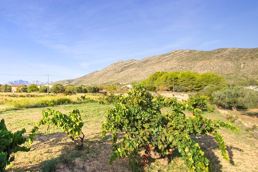 Countryhome for sale in Alicante 5