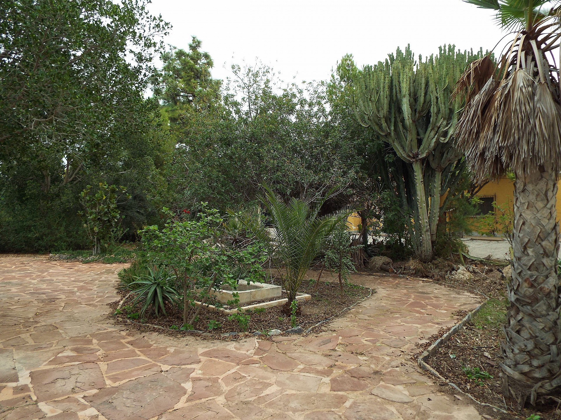 Countryhome for sale in Elche 15