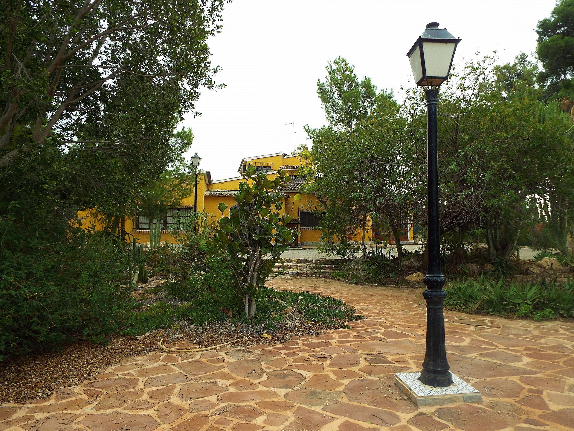 Countryhome for sale in Elche 42